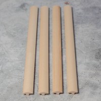 Грибок из липы