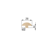 Грибок из липы